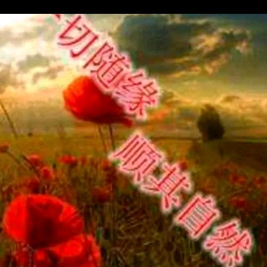 顺其自然