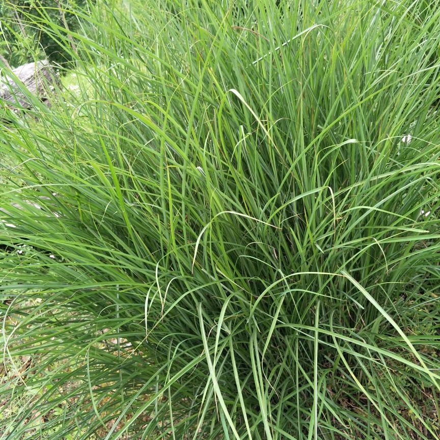 中国山东%能啥累