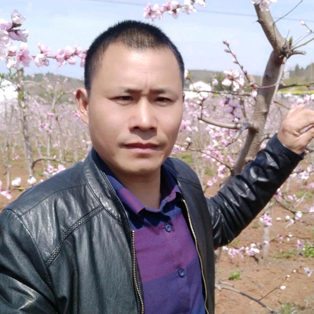 端盘大师