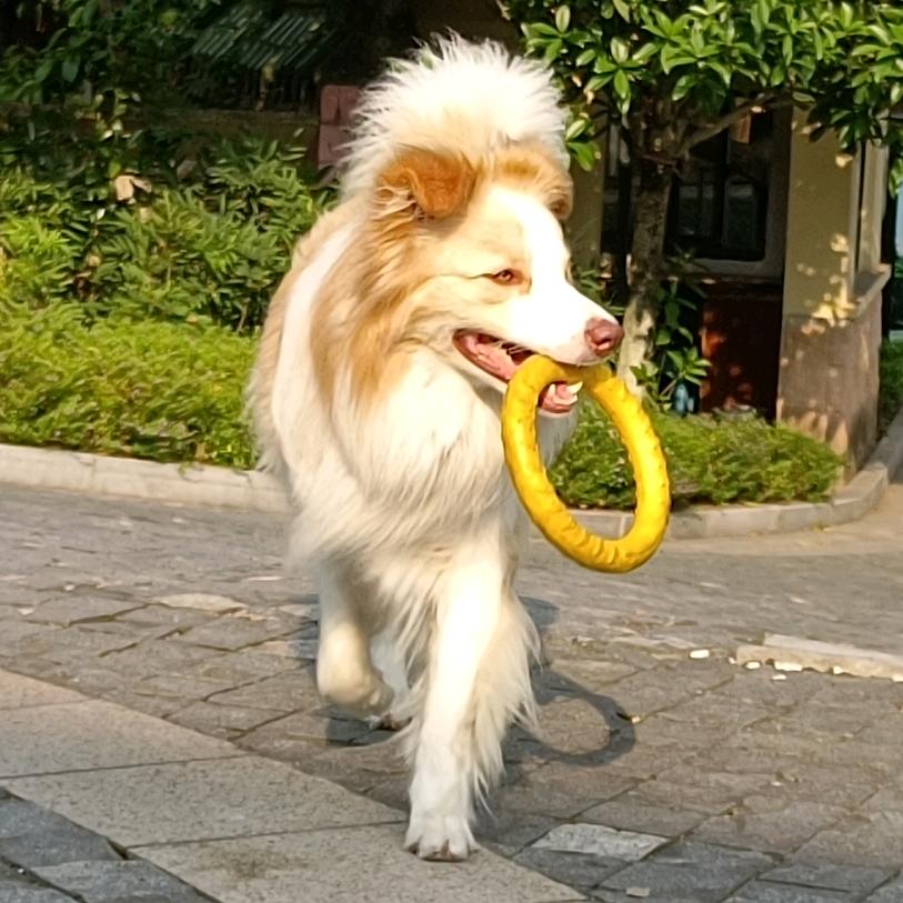心灵小曦