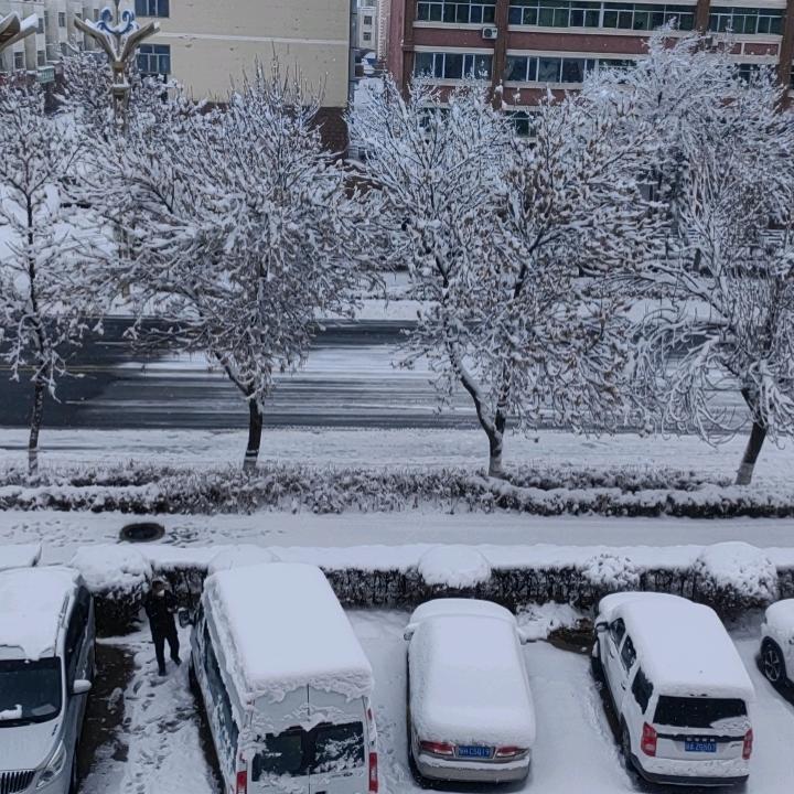 别和我讲理