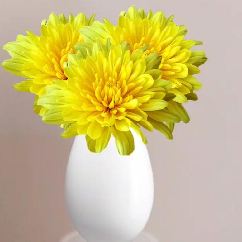 平平安安#健健康康