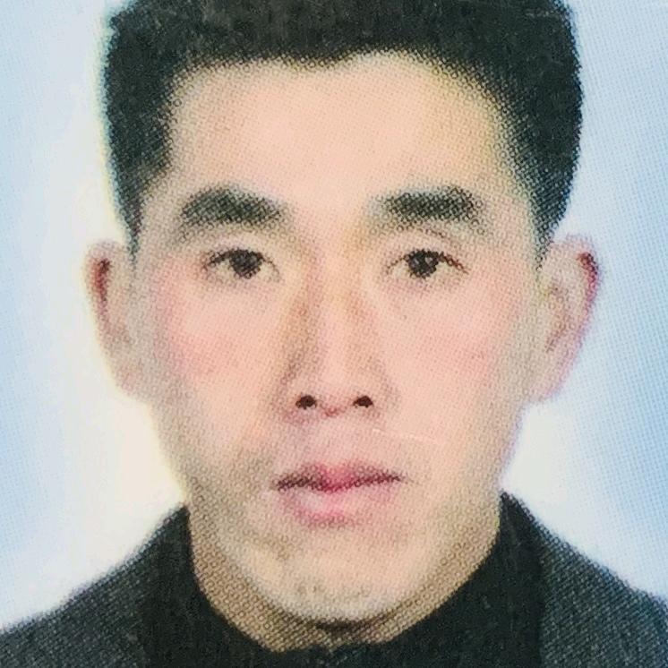 陶