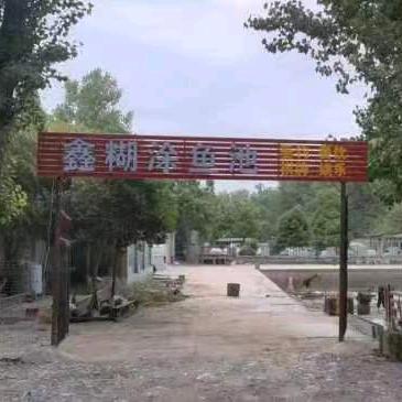 鑫糊涂渔池