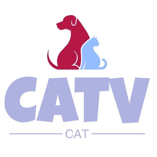 CATV