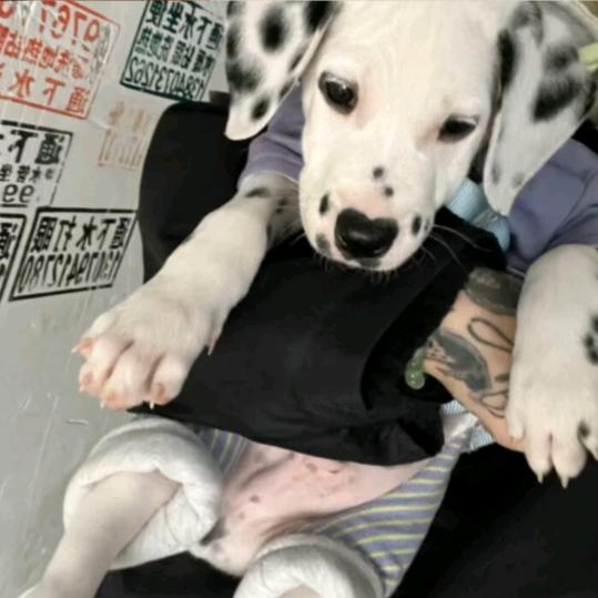 还好吗