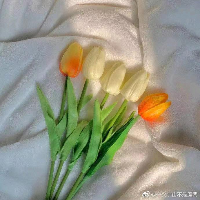 喜欢听歌的花