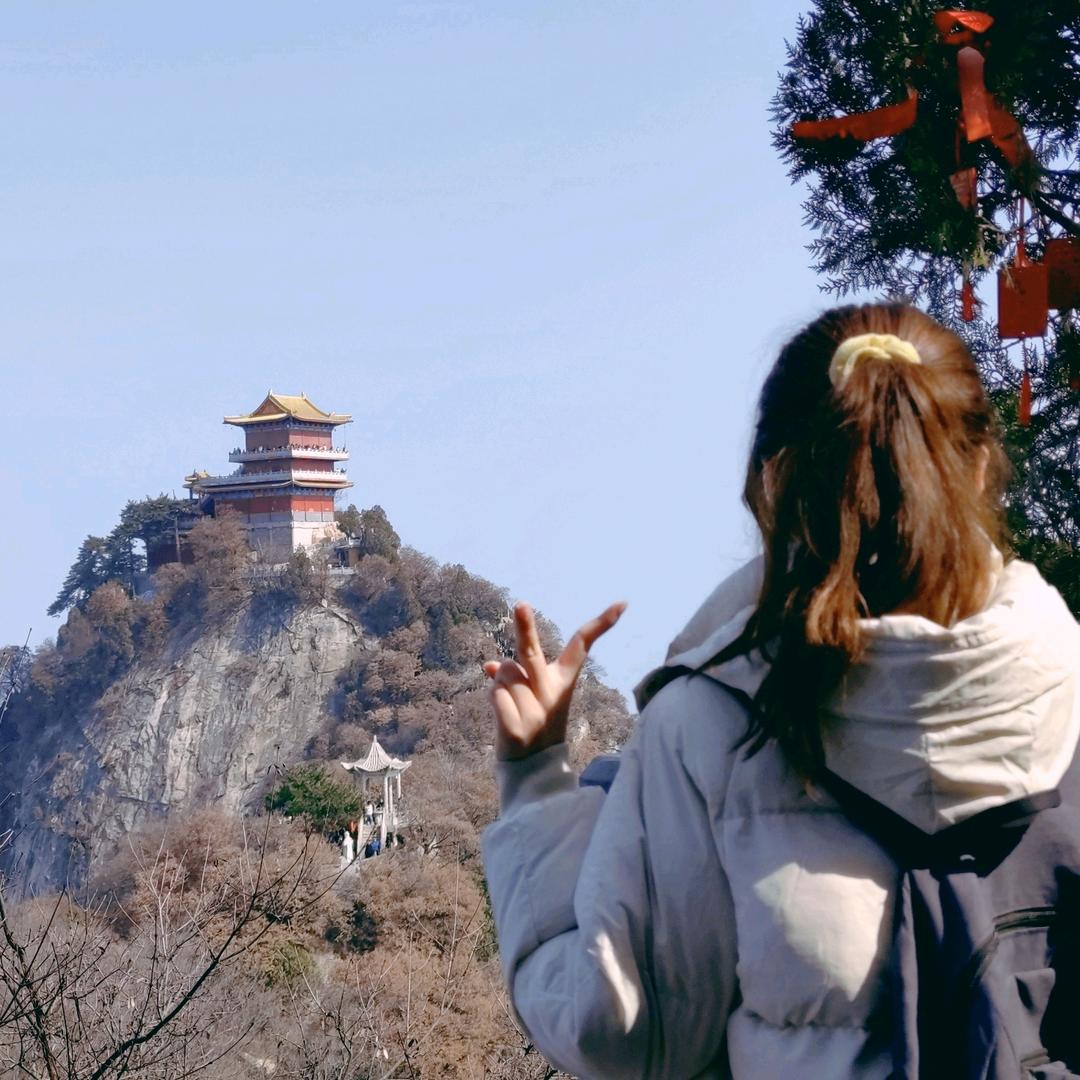 听听枫