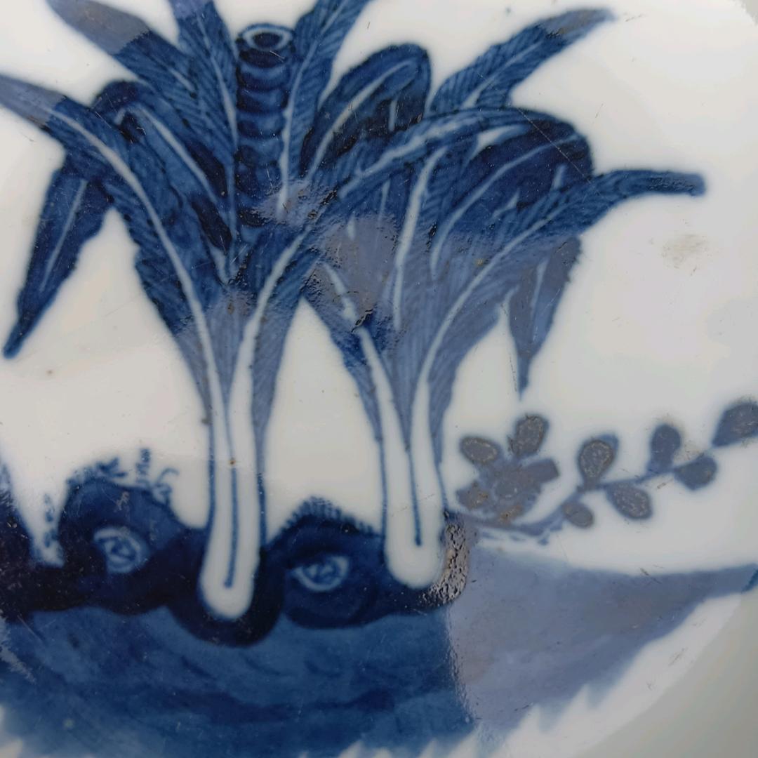 🌳养🌺种菜🌳