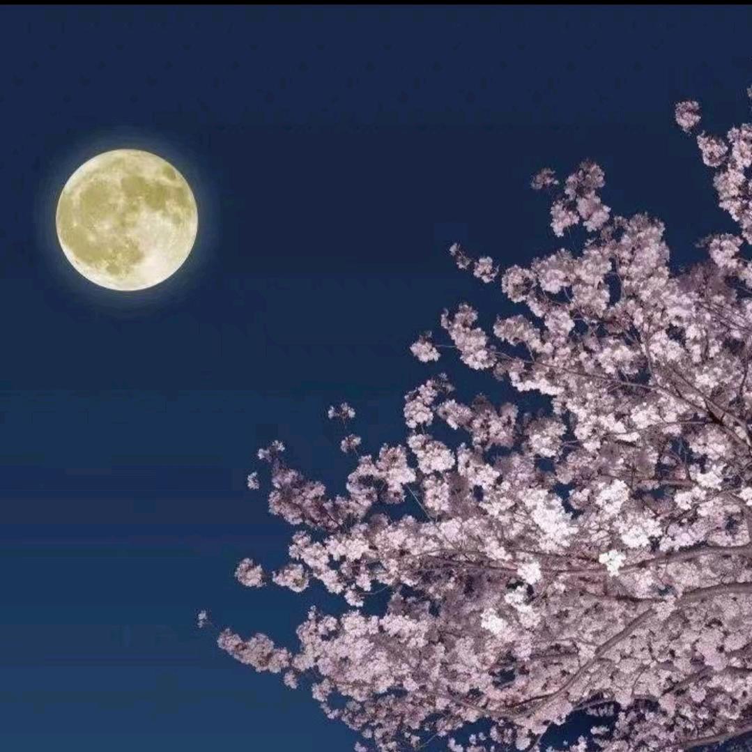 人间百态