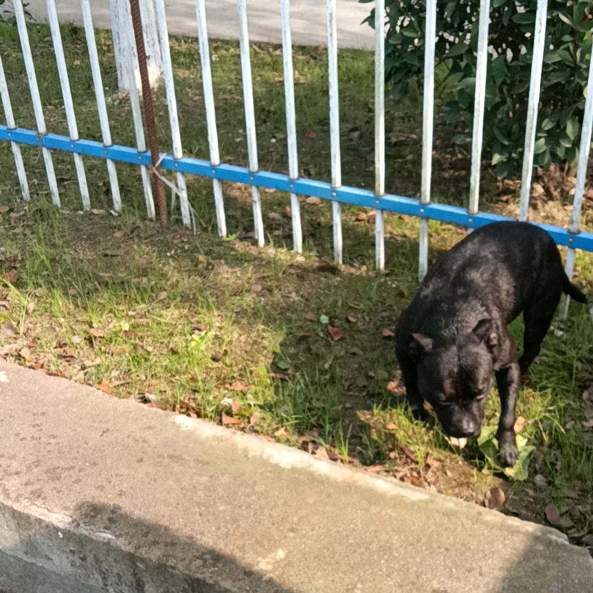 平安快乐每一天