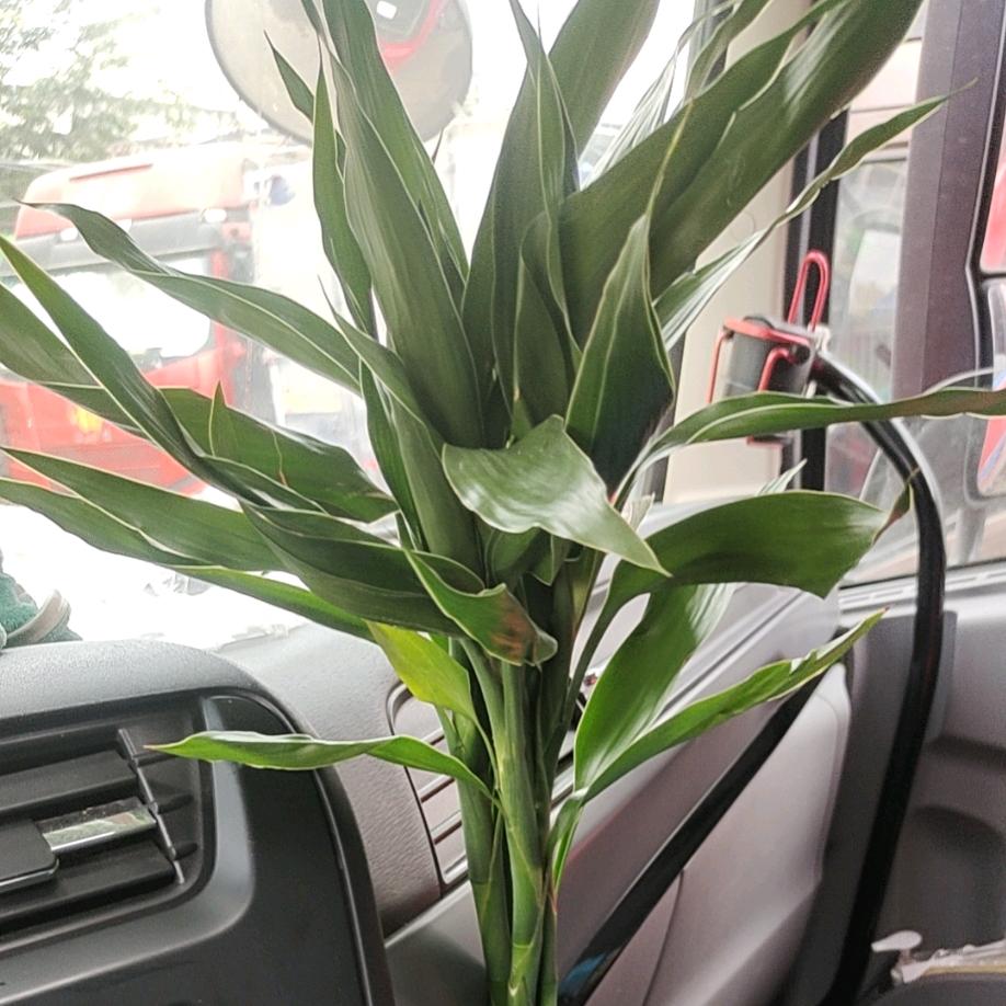 冷暖人生→货车生涯