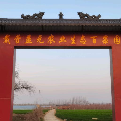 戴营益元生态农庄