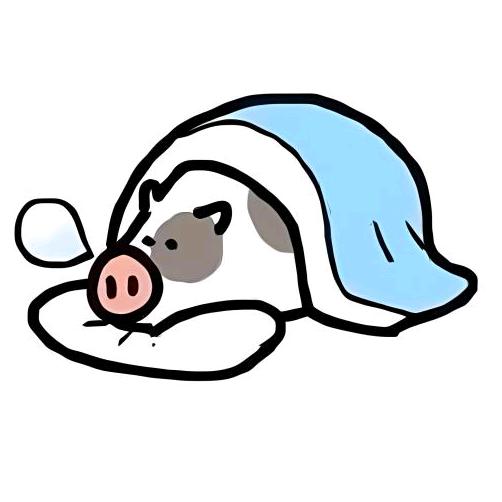 小张的美梦