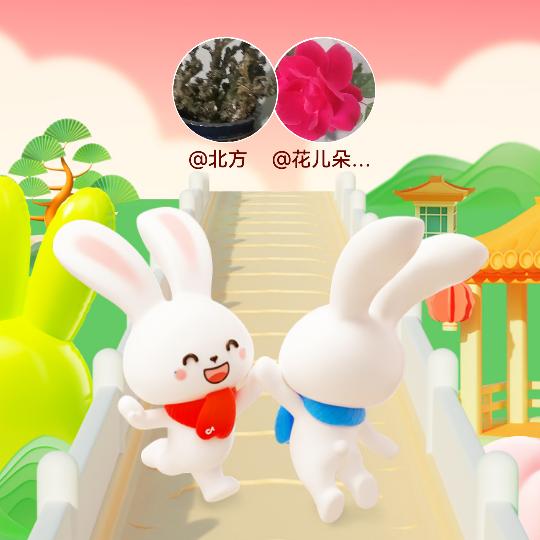 北方