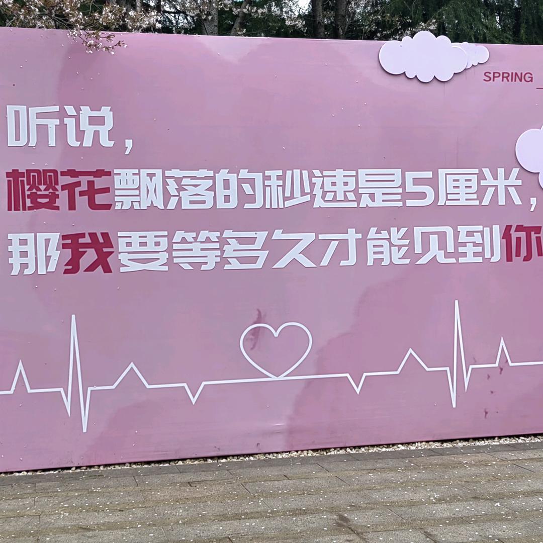 取什么名字呢？