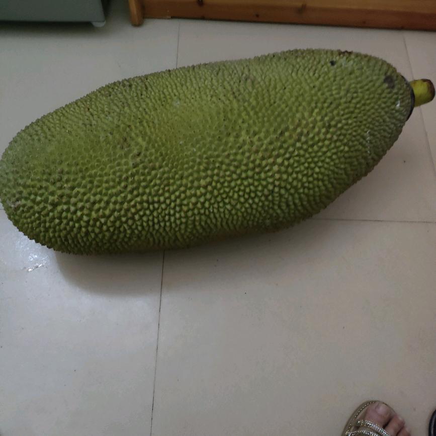 财神到