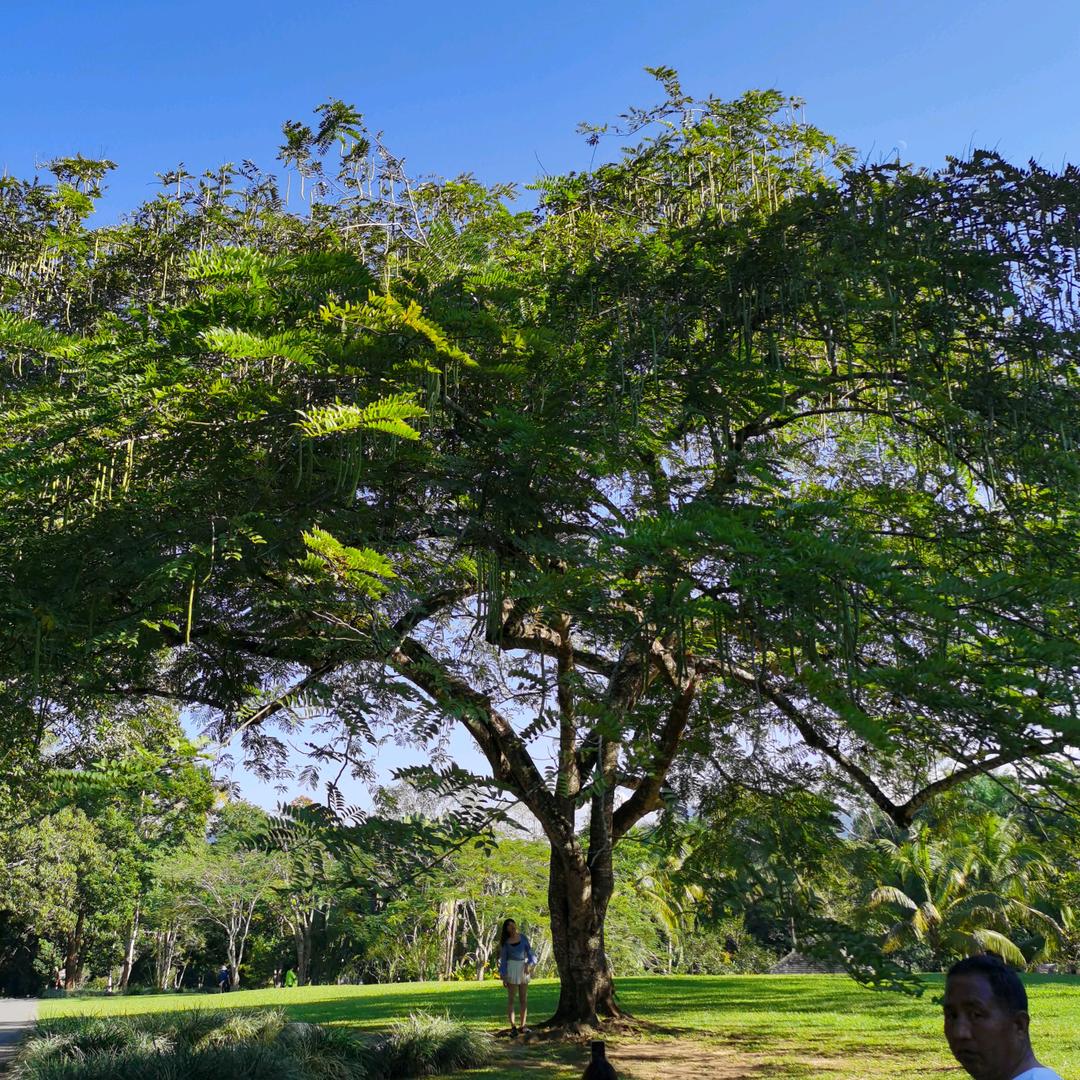 杨老师教育信息咨询