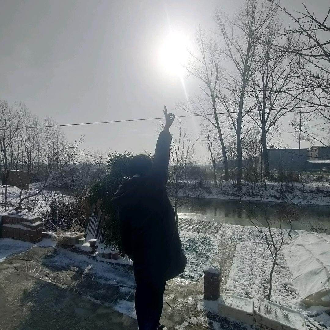 茜茜公主工作日