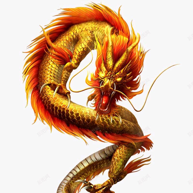 真龙家