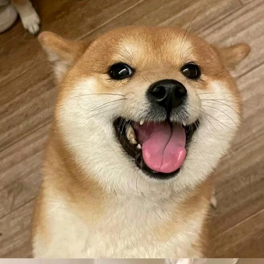 晚安