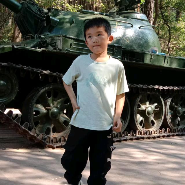 爱维马