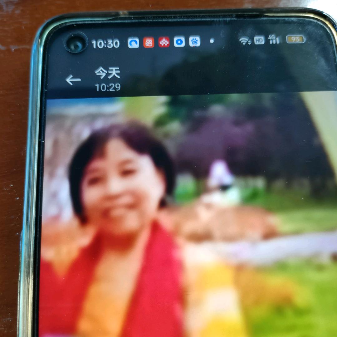 书中之凤头像