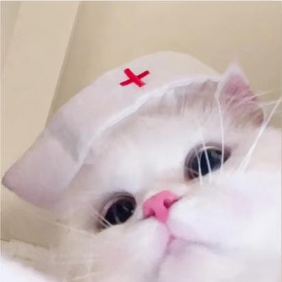 芝士奶盖