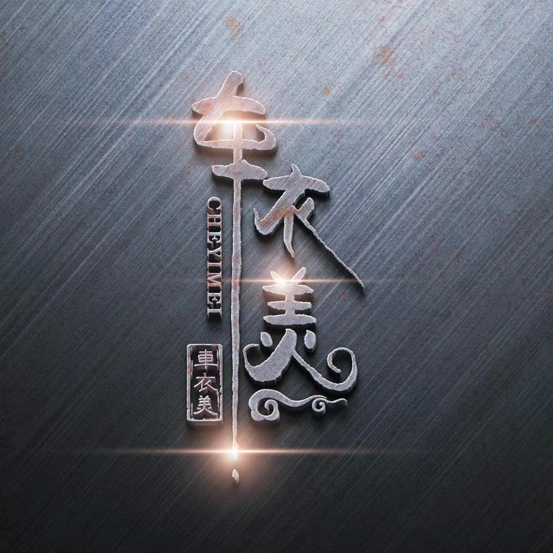扬州车衣美 贴膜旗舰店