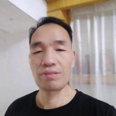 梧桐听雨