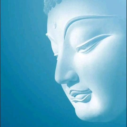 一半凡夫一半佛