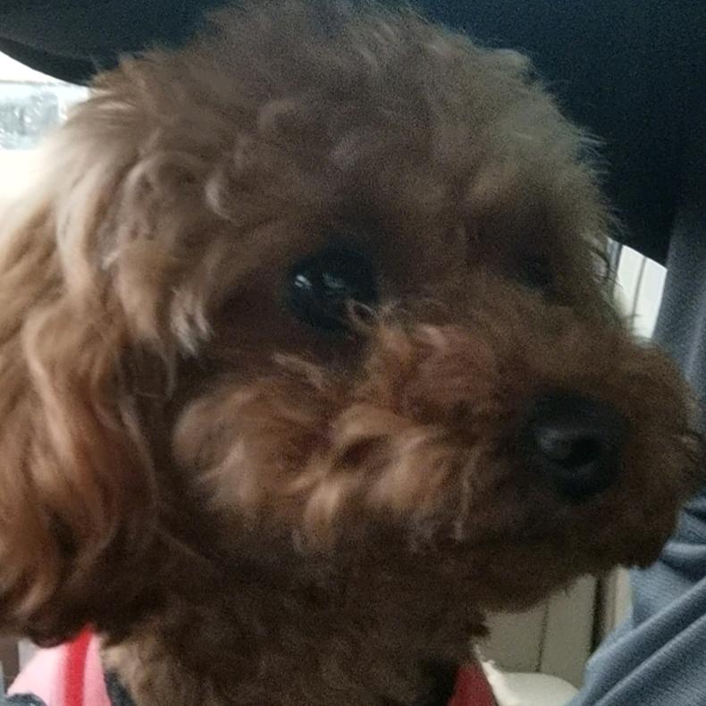 晓贺