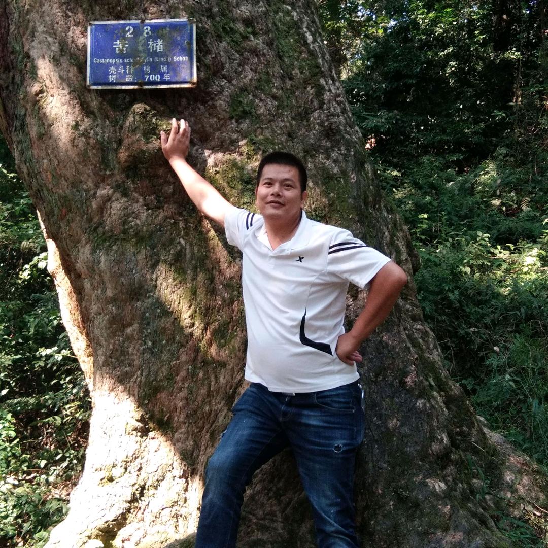 ☞倚楼听风雨☜