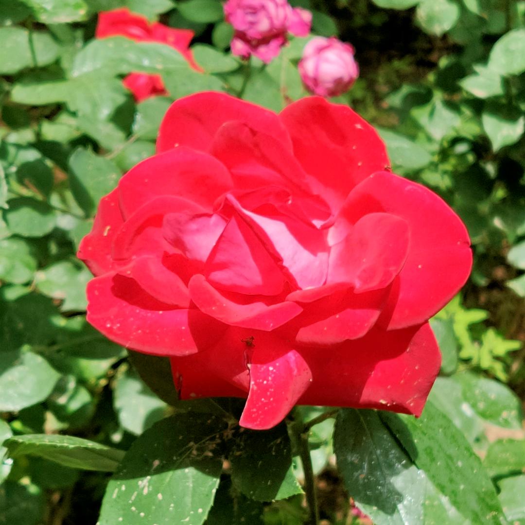 💕💞💓❤瑛子