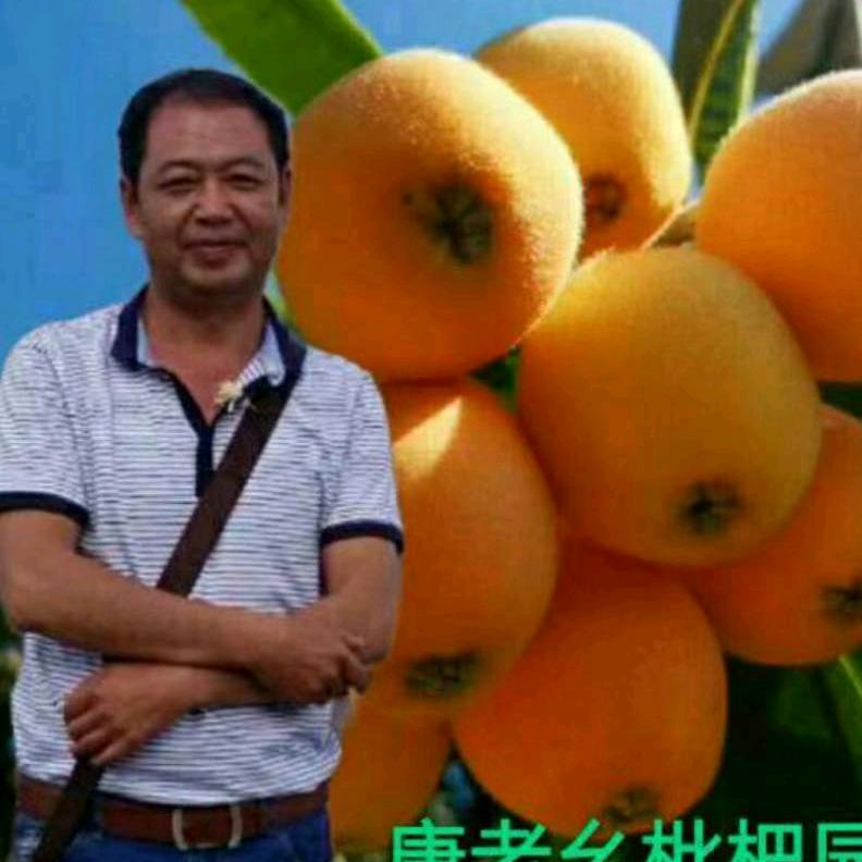 快乐先生