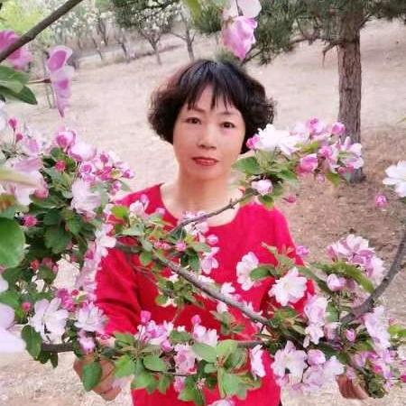 大霞爱插花