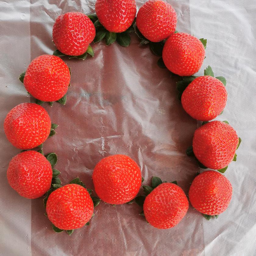 乐东县甜心草莓采摘园