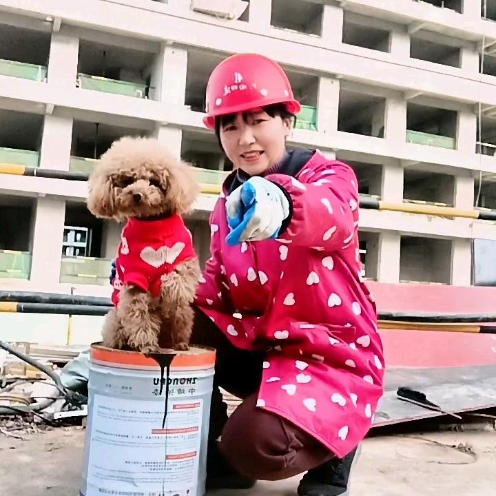 玲玲：家有萌宠
