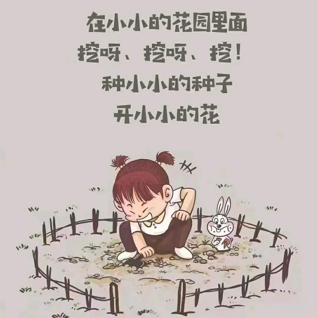 23吨小火车❤️