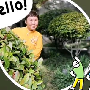 清风NQ