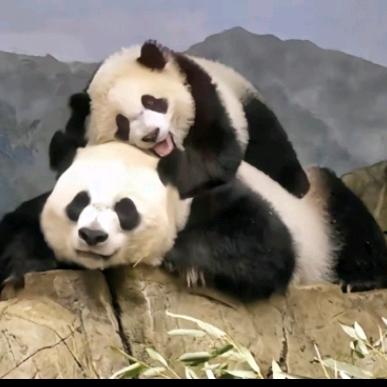 那个她