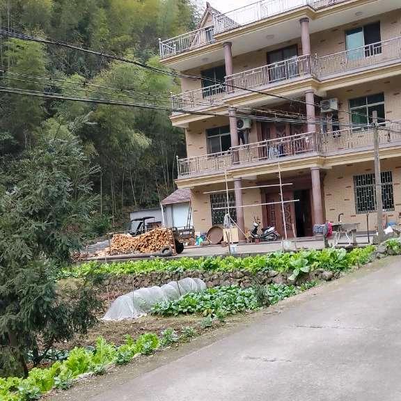 温暖的港湾永远有你