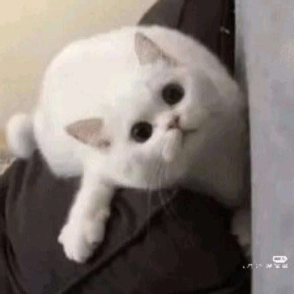 熄月