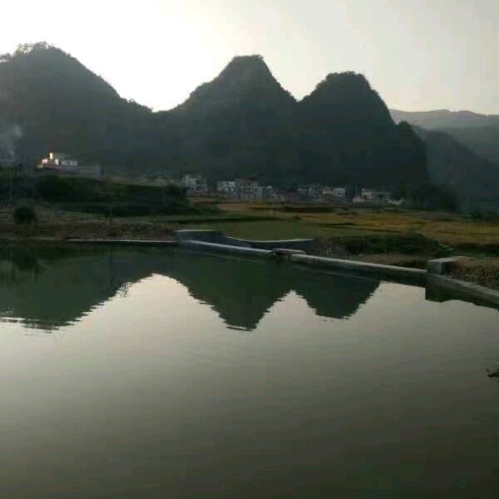认真的溪水ao