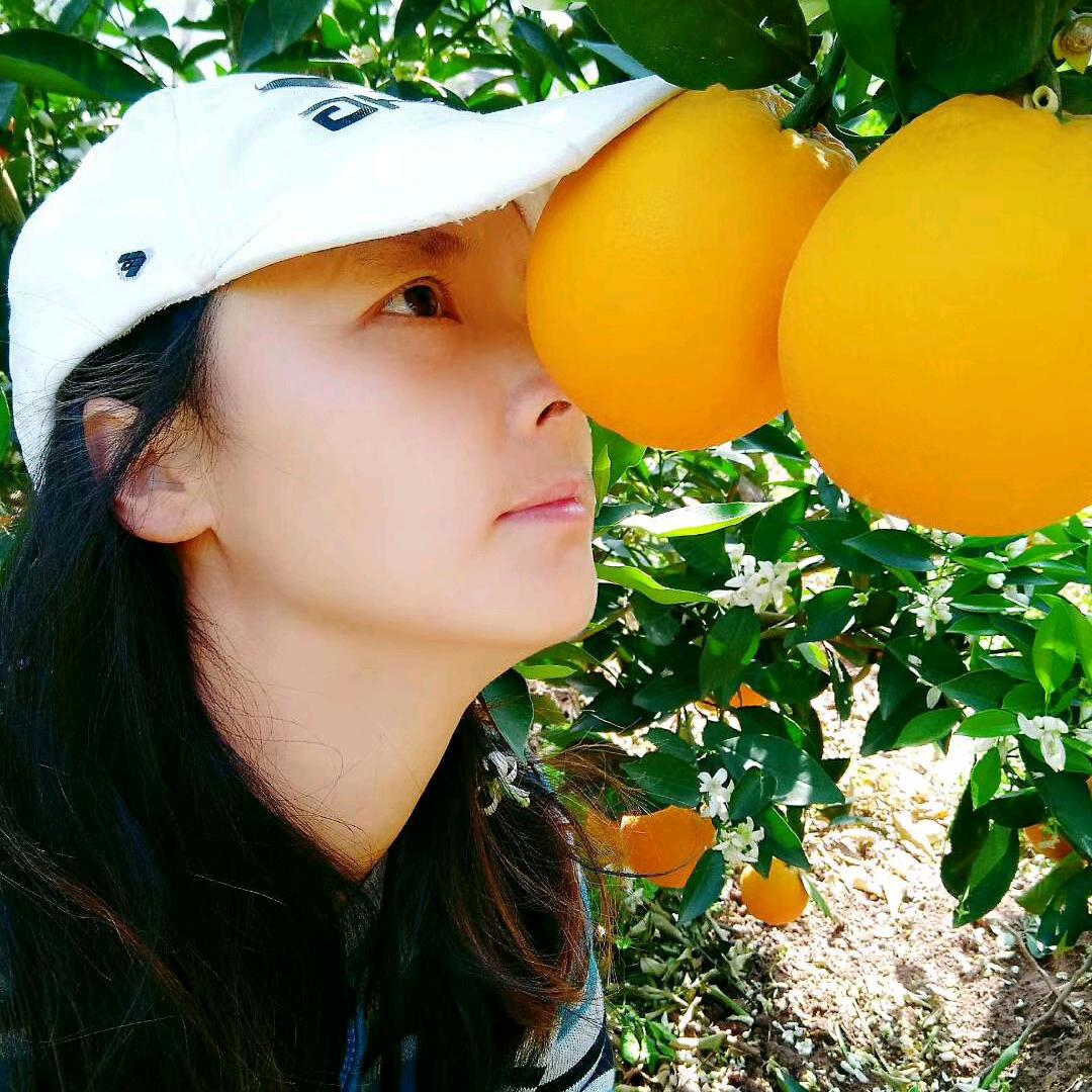 红姐鲜橙