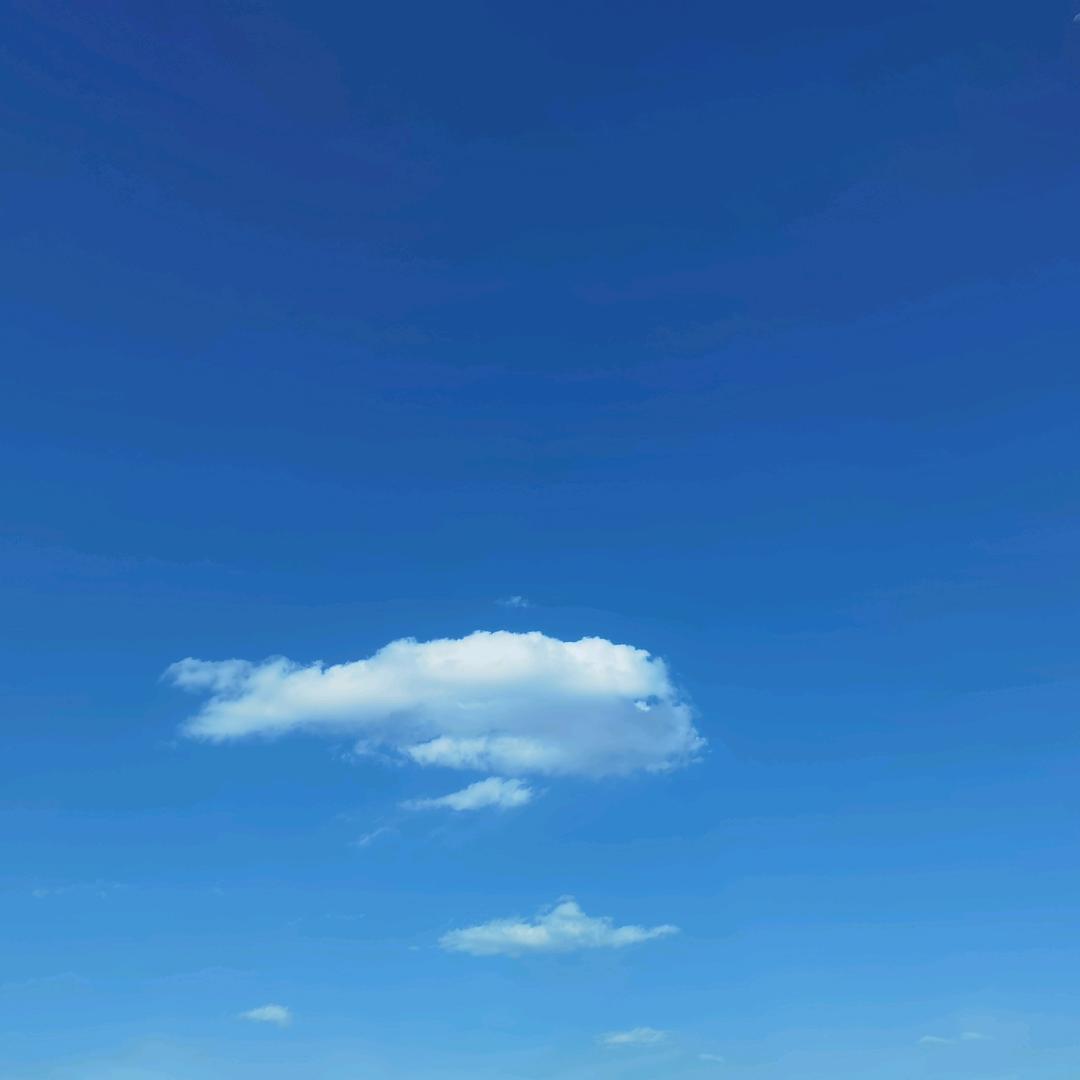 木 易 先 森