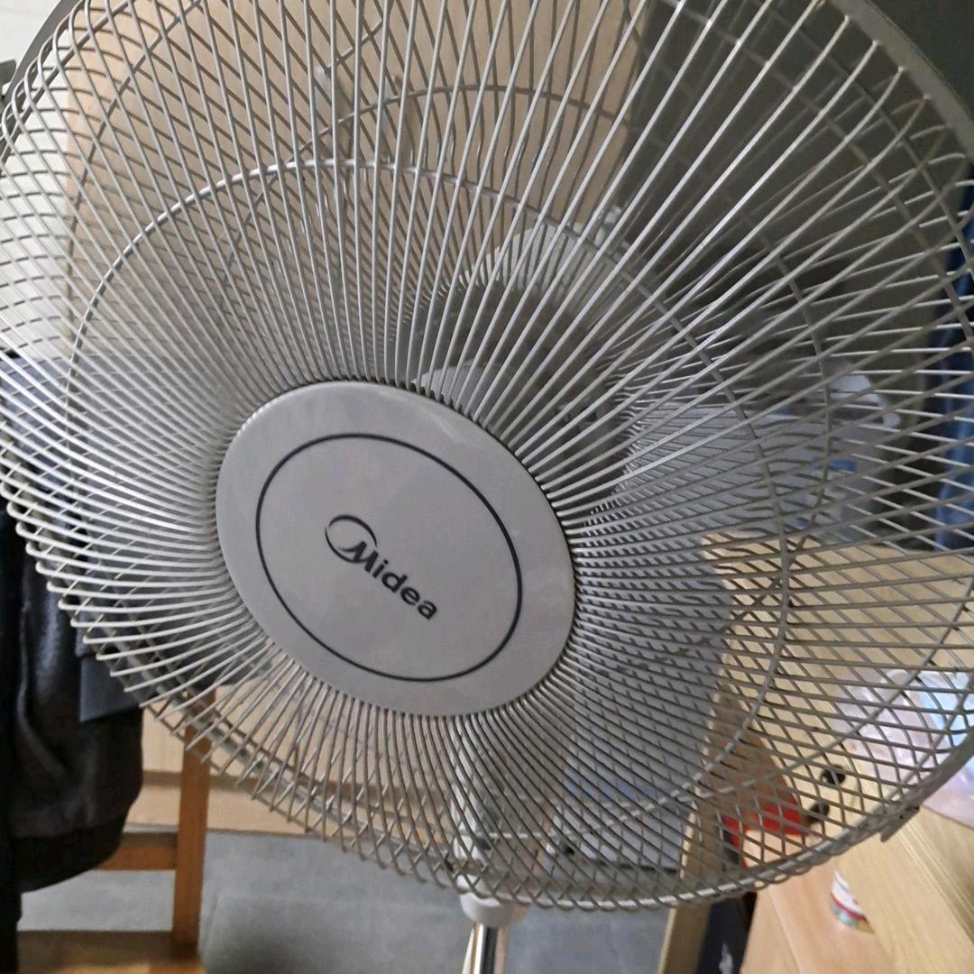 折去的青春