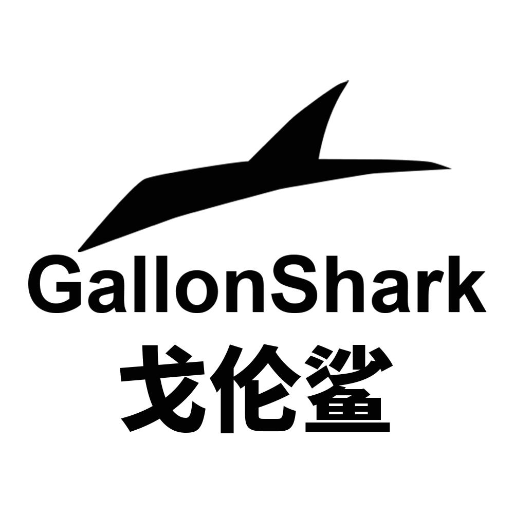 戈伦鲨健身静音鞋