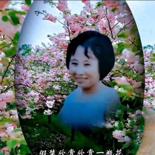 月亮代表我的心作者郭🇨🇳