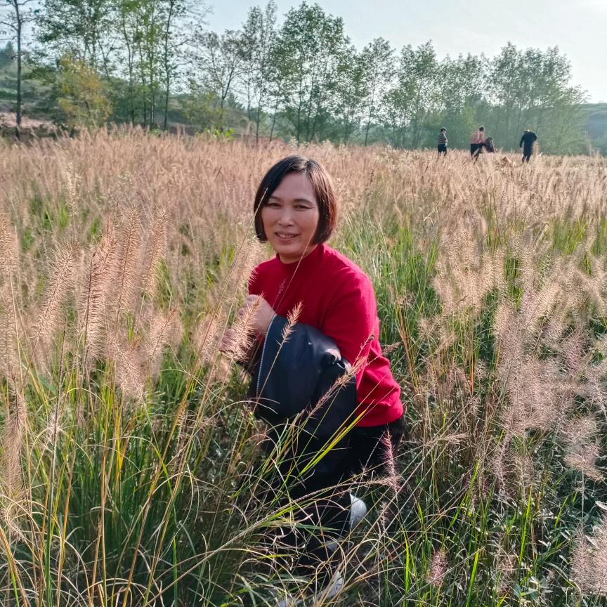 王述芳传统乐队